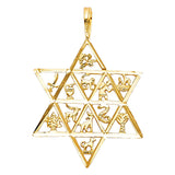 14K Yellow 12 ANIMAL STAR PENDANT