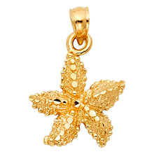 Load image into Gallery viewer, 14K Yellow Gold 15mm Starfish Pendant